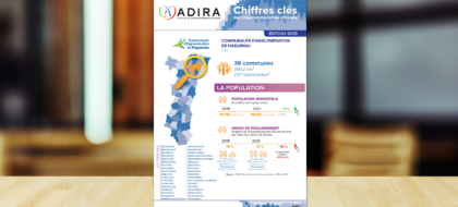 chiffres clés adira.com