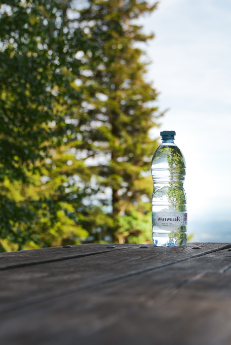 Petites bouteilles d'eau de source pour entreprises